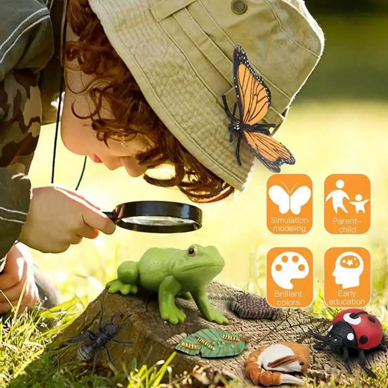 figurines-cycle-de-la-vie-1 Enfant utilisant une loupe pour observer une figurine de grenouille en plastique, entouré d'objets éducatifs et décoratifs inspirés de la nature, avec des icônes de modélisation, éducation, couleurs e.