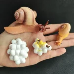 Collection de figurines d'escargots en plastique et caoutchouc, représentant différentes espèces avec détails réalistes et couleurs variées, parfaites pour la décoration scientifique ou éducat.