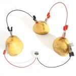 Pomme de terre connectée à des câbles électriques avec pinces, illustrant une expérience scientifique ou une décoration originale inspirée de la science.