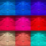 Vase en verre transparent illuminé par LED dans différentes couleurs, créant un effet lumineux coloré et décoratif. Parfait pour la décoration intérieure ou événementielle.