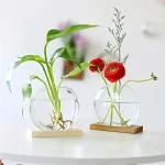 Deux vases en verre avec des plantes et fleurs, décoration scientifique moderne, design épuré, parfait pour un intérieur contemporain.
