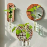 Décoration murale avec plantes suspendues dans des bouteilles en verre fixées sur des supports en bois, apportant une touche naturelle et moderne à la décoration intérieure.
