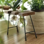 Balconnière suspendue avec plantes vertes dans un vase en verre, support en bois et métal, décoration intérieure naturelle et moderne.