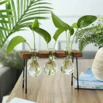 Ensemble de trois plantes vertes dans des flacons en verre suspendus, parfaits pour une décoration intérieure moderne et naturelle. Idéal pour apporter une touche de fraîcheur à votre espace de vie ou.