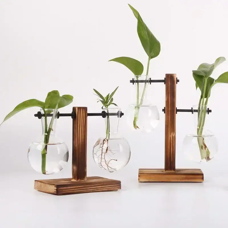 stations-hydroponiques-radis-1 Balconnières de plantes dans des flacons en verre avec support en bois.