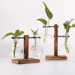 Vases suspendus en verre avec support en bois pour plantes d'intérieur, décoration botanique moderne et élégante, idéale pour embellir votre espace de vie ou de travail.