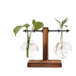 Support de plantes en verre avec structure en bois pour la croissance.