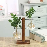 Deux plantes vertes dans des flacons en verre suspendus sur un support en bois, décoration moderne et naturelle pour intérieur.