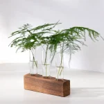 Vases en verre contenant des branches de feuillage vert, disposés sur un socle en bois naturel, décoration élégante et moderne pour intérieur ou bureau.