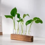 Plantes vertes dans des tubes à essai en verre fixés sur un support en bois, illustrant une décoration scientifique naturelle et moderne.