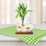 Plante verte dans un vase en verre avec poissons rouges nageant, décoration de style scientifique ou naturel, sur une nappe à carreaux verts et blancs.