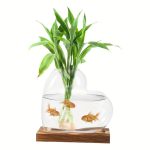 Vase en verre transparent contenant une plante verte et trois poissons rouges nageant dans l'eau, posé sur une base en bois.