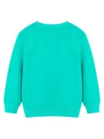Sweatshirt turquoise unisexe, confortable et tendance, parfait pour un look décontracté ou scientifique, idéal pour la boutique et la décoration de science.
