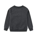 Sweat-shirt gris pour enfants en coton biologique, confortable et doux, idéal pour l'automne et l'hiver, avec finition soignée et style décontracté.