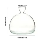 Pipette en verre transparente, idéale pour la décoration scientifique ou comme objet de collection. Dimensions : 15 cm de large, 15,5 cm de haut, ouverture de 4,5 cm.