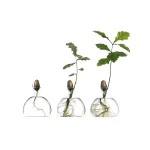 Ampoules en verre avec jeunes plantes en croissance, symbolisant la science et la nature.