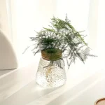 Plante verte dans un vase en verre à l'aspect scientifique, idéale pour la décoration intérieure avec une touche botanique et moderne.