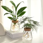 Deux plantes en vases en verre avec racines visibles, décor scientifique moderne, sur fond blanc lumineux.
