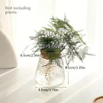 Vase en verre transparent avec plante suspendue décorative.