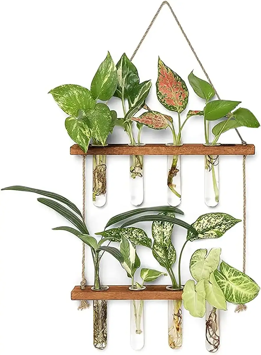 station-murale-de-bouturage-hydroponique-1 Composition de plantes d'intérieur variées dans des tubes à essai suspendus, créant une décoration botanique moderne et naturelle pour la maison ou le bureau.