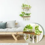 Décoration intérieure avec plantes en bocaux suspendus, apportant une touche naturelle et moderne à la pièce. Idéal pour un intérieur tendance et écologique.