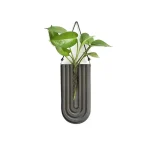 Plante verte suspendue dans un vase en forme de tube scientifique, décoration originale pour un intérieur inspiré de la science et de la nature.
