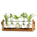 Vase de plantes en laboratoire avec support en bois et tubes à essai contenant des plantes vertes, illustrant la décoration scientifique et naturelle.